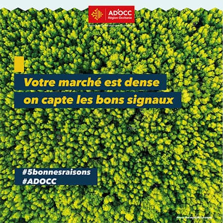 Votre marché est dense, on capte les bons signaux