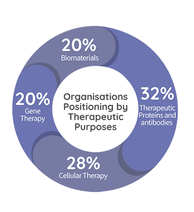 organisations positioning by therapeutic purposes